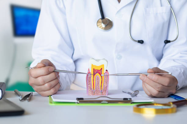 Best Urgent Dental Care for Toothaches in Campbelltown, PA
